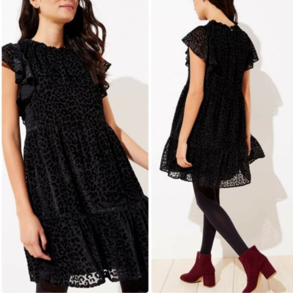 LOFT Leopard Velvet Drop Waist Swing Dress
